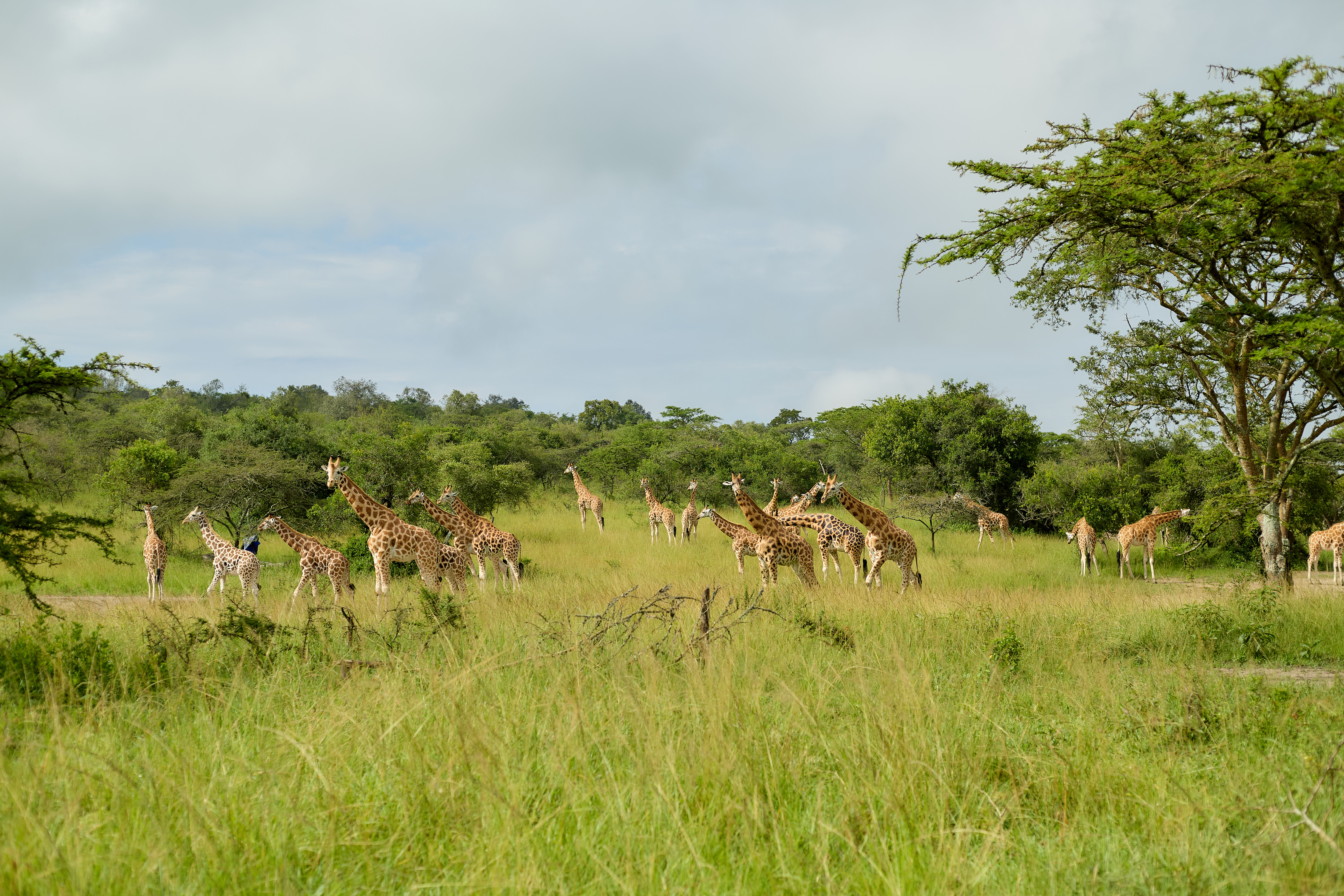 3 Days Whispers Of The Wild Holiday (Lake Mburo National Park)